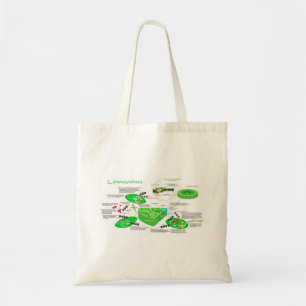 Tote Bag C4 Plante feuille de diagramme de photosynthèse