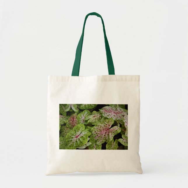 Tote Bag Caladium Gingerland Fourre-tout (Devant)