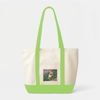 Tote Bag Câlin avec votre valise de Puggle