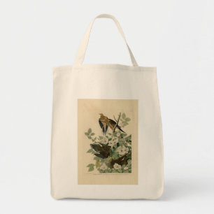 Tote Bag Carolina Turtle Dove Mourning Dove Audubon's Birds