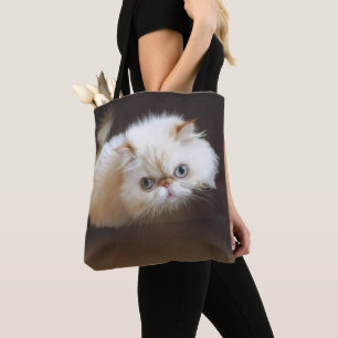 Tote Bag Chat dans une boîte
