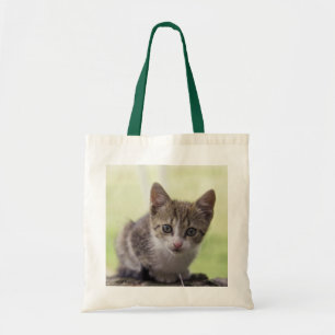 Tote Bag Chaton