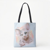 Chaton de Sphynx