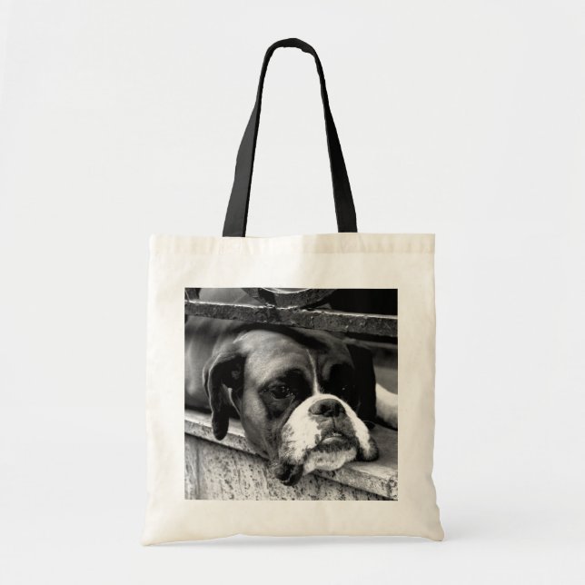 Tote Bag Chien de boîte sur Windows rebord btcna (Devant)