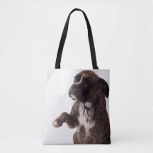 Chien Fourre-tout de boxeur