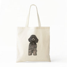 Chien toutou Caniche