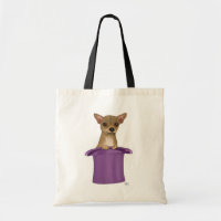Chihuahua en haut du chapeau