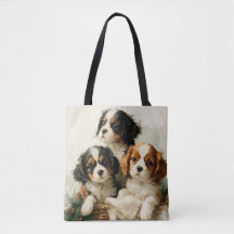 Chiots Cavalier King Charles Spaniel Noël