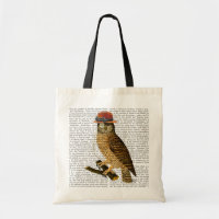 Chouette avec Casquette Bowler style Steampunk