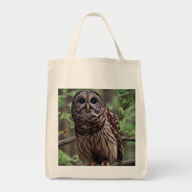 Tote Bag Chouette barrée (Devant)