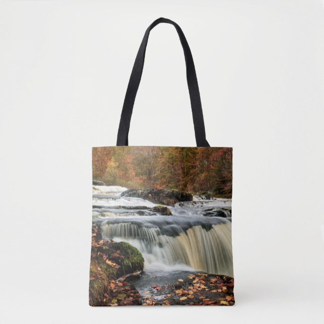 Tote Bag Chutes de Shohola en automne (Devant)
