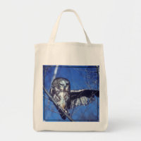Cligner de l'oeil le hibou