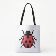 Coccinelle Joie Ponctuelle