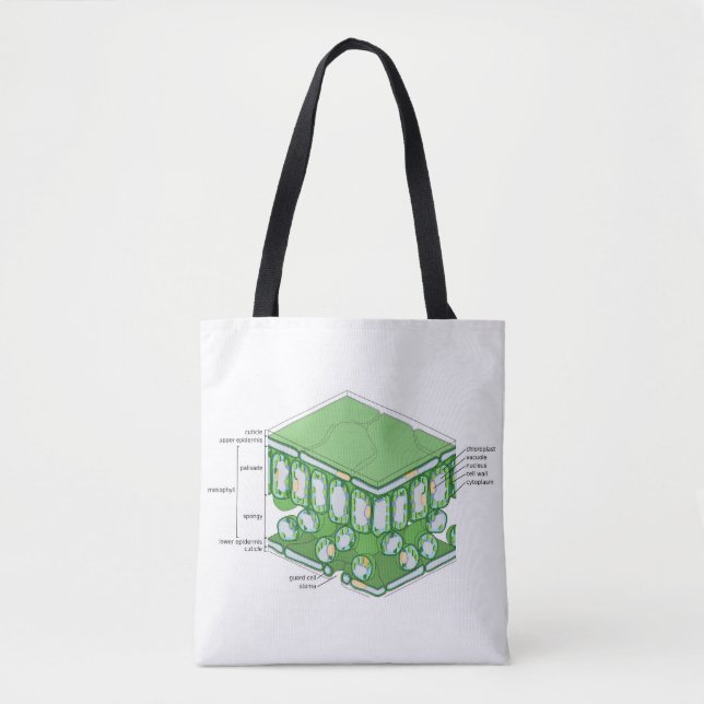 Tote Bag Diagramme de cellule Plante de la structure de tis (Devant)