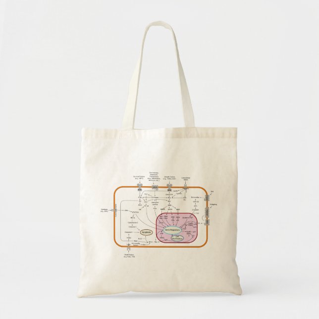 Tote Bag Diagramme des trajectoires de transduction des sig (Devant)