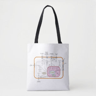Tote Bag Diagramme des voies de transduction du signal du g