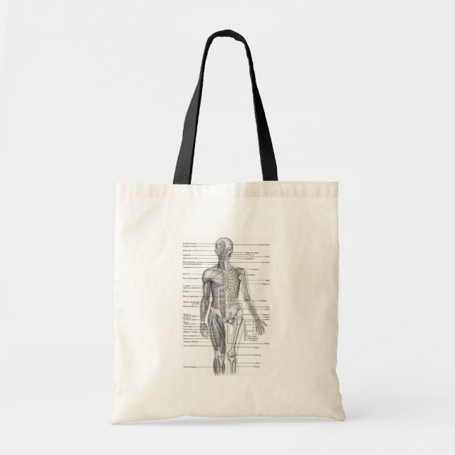 Tote Bag Diagramme humain d'anatomie (Devant)