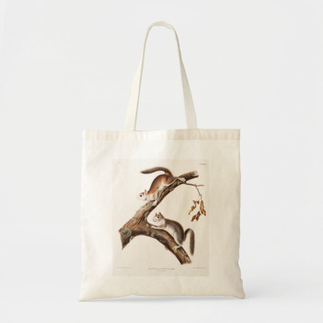 Tote Bag Downy Brown Squirrel House (Devant)