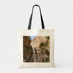 Tote Bag Emerald Pool Falls I du parc national de Zion