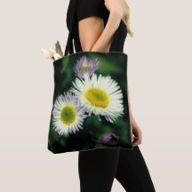 Fleabane sauvage Fleur de marguerite