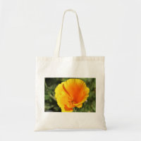 Fleur du pavot de Californie