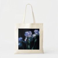 Fleurs d'Iris au Crépuscule