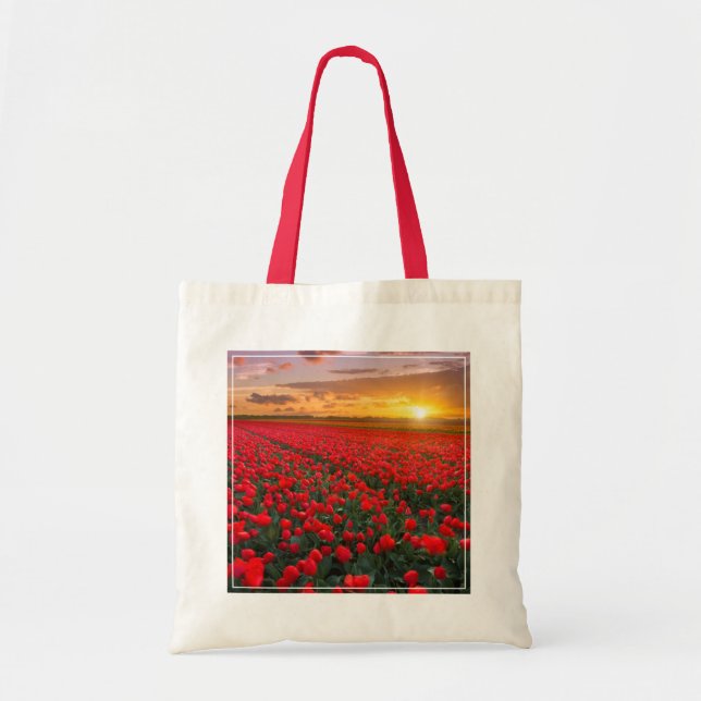 Tote Bag Fleurs | Jardin botanique Hollande (Devant)