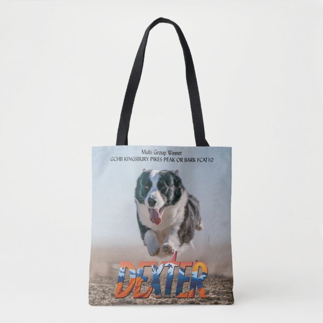 Tote Bag Fun chat rapide (Devant)