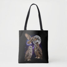 Graphisme Rétro Galaxie Trois Hiboux Lune