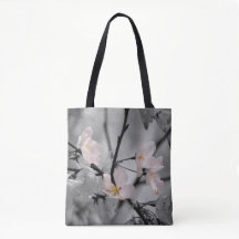 Gray and Pink Cherry Blossoms