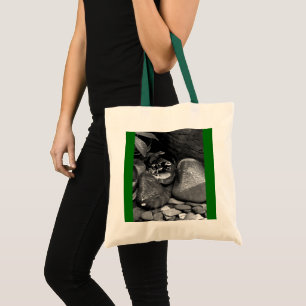 Tote Bag Grenouilles de fléchettes partageant le rocher B+W