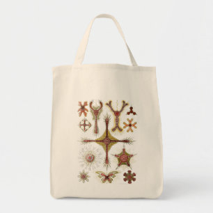 Tote Bag Haeckel