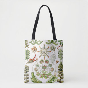 Tote Bag Hepaticé Lebermoose par Ernst Haeckel
