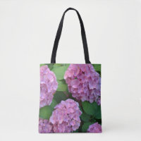 Hortensia hydrangea rose