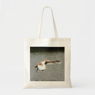 Tote Bag Jeune cygne d'atterrissage