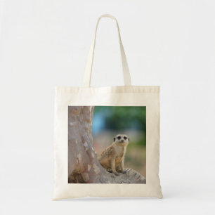 Tote Bag Jolie suricate assise sur un arbre