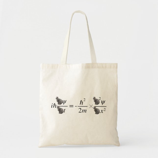 Tote Bag Le chat de Schrodinger (Devant)