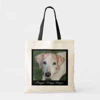 Le chienchien Baggie de Maggie
