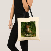 Le chou renard dans une forêt verte