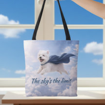 Le ciel est la limite