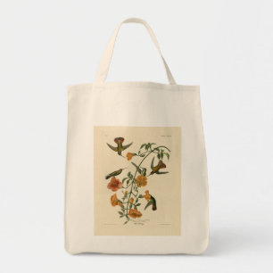 Tote Bag Le colibri mangue des oiseaux d'Amérique d'Audubon