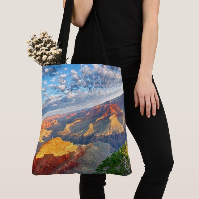 Tote Bag Le Grand Canyon (De près)