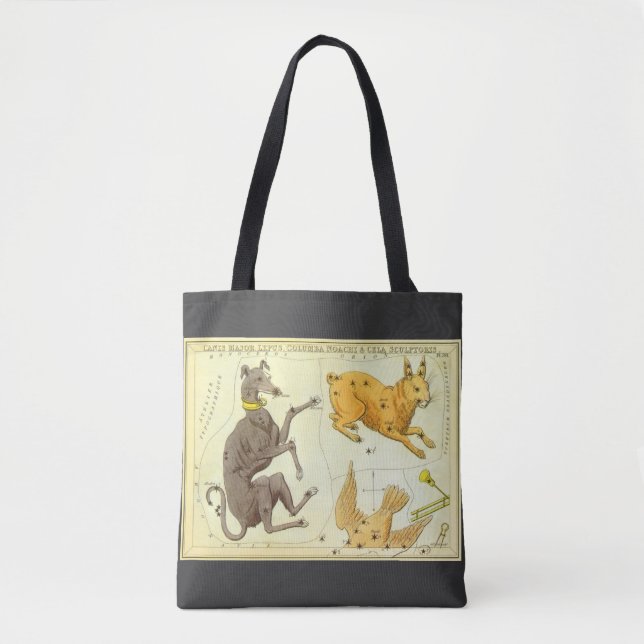 Tote Bag Le miroir de l'Ukraine, la carte céleste de l'astr (Devant)