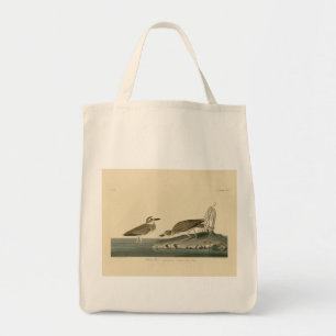 Tote Bag Le Pluvier siffleur de Wilson des oiseaux d'Amériq