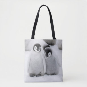 Tote Bag L'empereur Penguin Chicks sur la glace en Antarcti