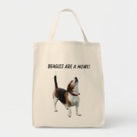 Les beagles sont un chien mignon d'hurlement