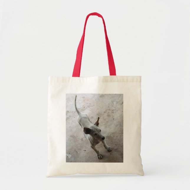Tote Bag Luk Maa ... Chien chiot thaïlandais Soi (Devant)