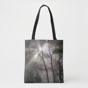 Tote Bag Lumière Solaire À Travers Les Arbres Bois Sombre