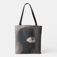 Odilon Redon Armor. Femme sombre face symbolisme