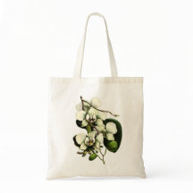 Orchidées